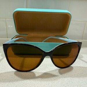 Tiffany 4089B Sunglasses